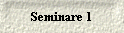 Seminare 1
