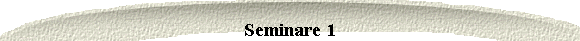 Seminare 1